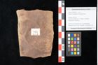 Foto (Objekt + Etikett) von Quercus palaeoilex Ettingshausen (NHMW-GEO-2024-0188-0835)